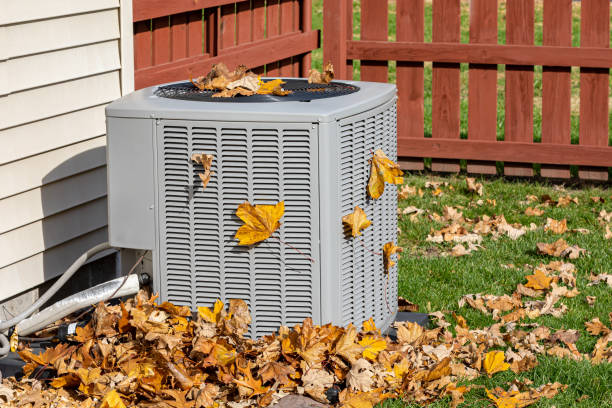 Best HVAC air duct cleaning  in Las Flores, CA