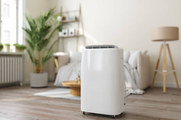 Best HVAC tune-up services  in Las Flores, CA